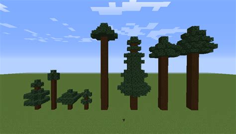 Spruce – Minecraft Wiki.
